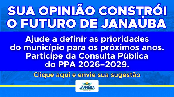 CONSULTA PÚBLICA PPA