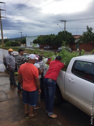 Imagem_noticia