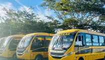 Miniatura Notícia