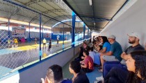 Miniatura Notícia