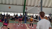 Miniatura Notícia